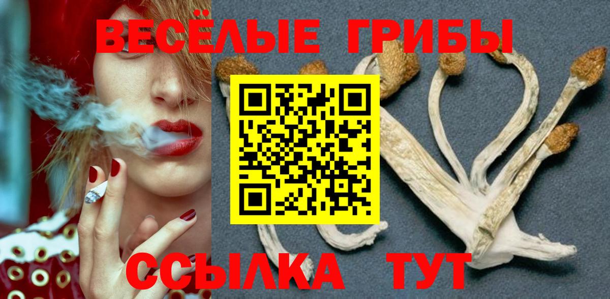 Александров  Псилоцибиновые грибы Magic Shrooms  Вход с VPN 